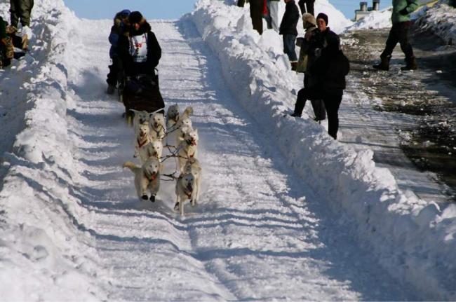 2007_iditarod_jim_lanier_9