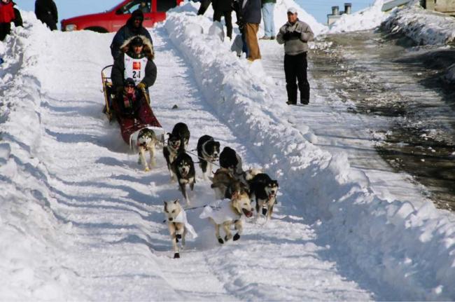 2007_iditarod_jon_korta_24