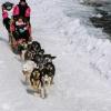 2007_iditarod_kelly_williams_78