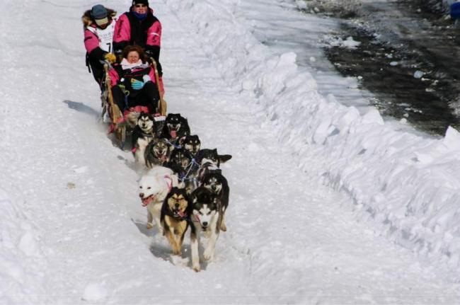 2007_iditarod_kelly_williams_78