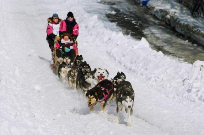2007_iditarod_kelly_williams_78_number2