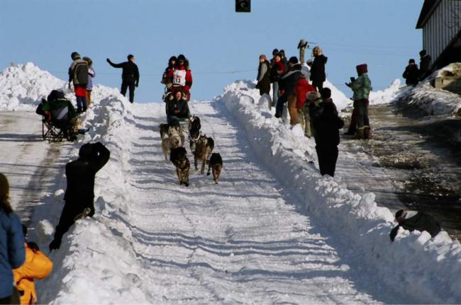 2007_iditarod_lance_mackey_13