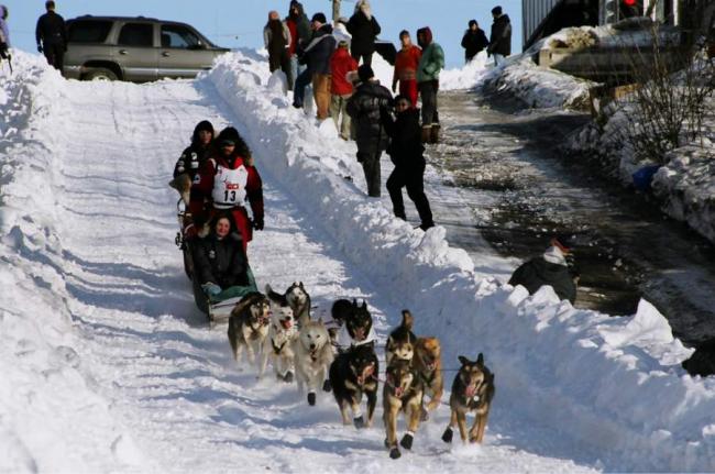 2007_iditarod_lance_mackey_13_number2