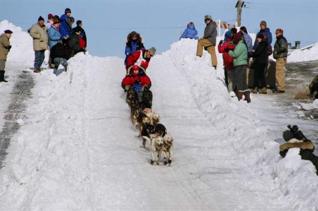2007_iditarod_linwood_fiedler_80