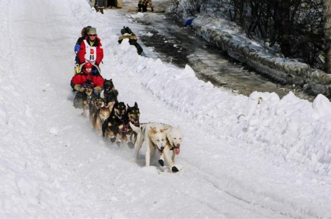 2007_iditarod_linwood_fiedler_80_number2