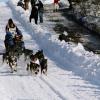 2007_iditarod_martin_buser_19