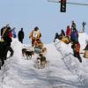 2007_iditarod_matt_calore_55