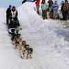 2007_iditarod_matt_hayashida_72