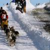 2007_iditarod_mitch_seavey_20