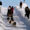 2007_iditarod_ramy_brooks_5