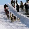 2007_iditarod_randy_cummins_14