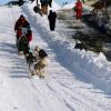 2007_iditarod_ray_redington_jr_18