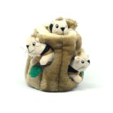4111ntXtwDL. SL160  Kyjen PP01056 Hide A Squirrel Pet Toy, Large